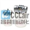 SPAX-10×10,SPBX-10×10,旋轉式管路過濾器,濾芯