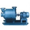 TLZ-9*5，TLZ-9*6，TLZ-15，TLZ-15*7，TLZ-18，離心抽濕真空泵
