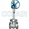 DZ40Y-40LCB，DZ40Y-40LC1，DZ40Y-40LC2，傘齒輪低溫閘閥