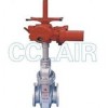 Z943F，Z9B43WF，Z9B43WD，Z9B43WY，Z9B43WbF，Z9B43WbY，電動(dòng)平板閘閥